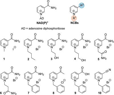 S-Adenosyl-L-Homocysteine Hydrolase Inhibition by a Synthetic Nicotinamide Cofactor Biomimetic